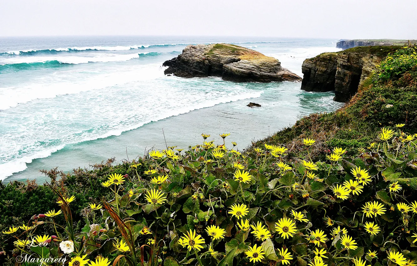 Photo wallpaper sea, wave, flowers, shore, Leo Margareto