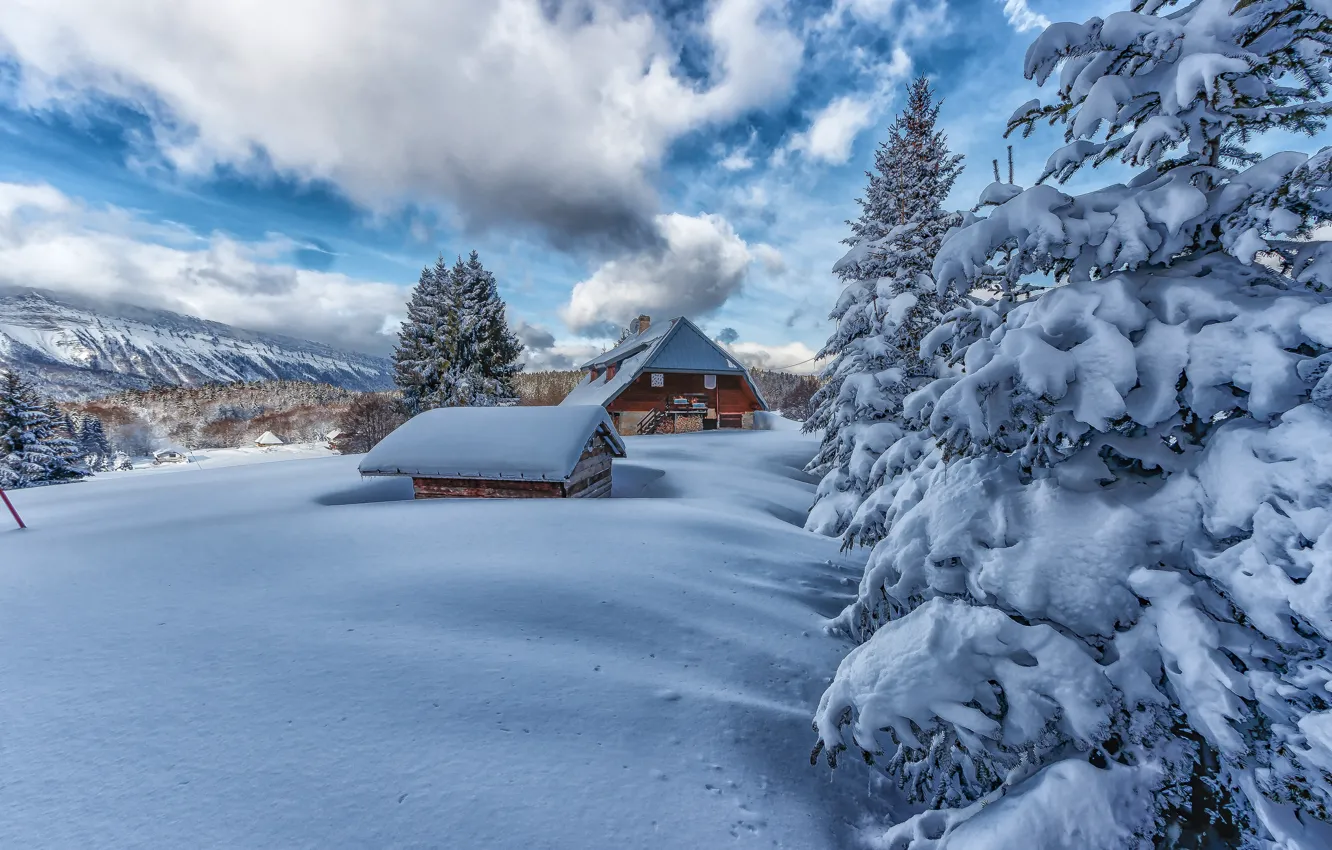 Photo wallpaper winter, forest, clouds, snow, trees, mountains, the slopes, home