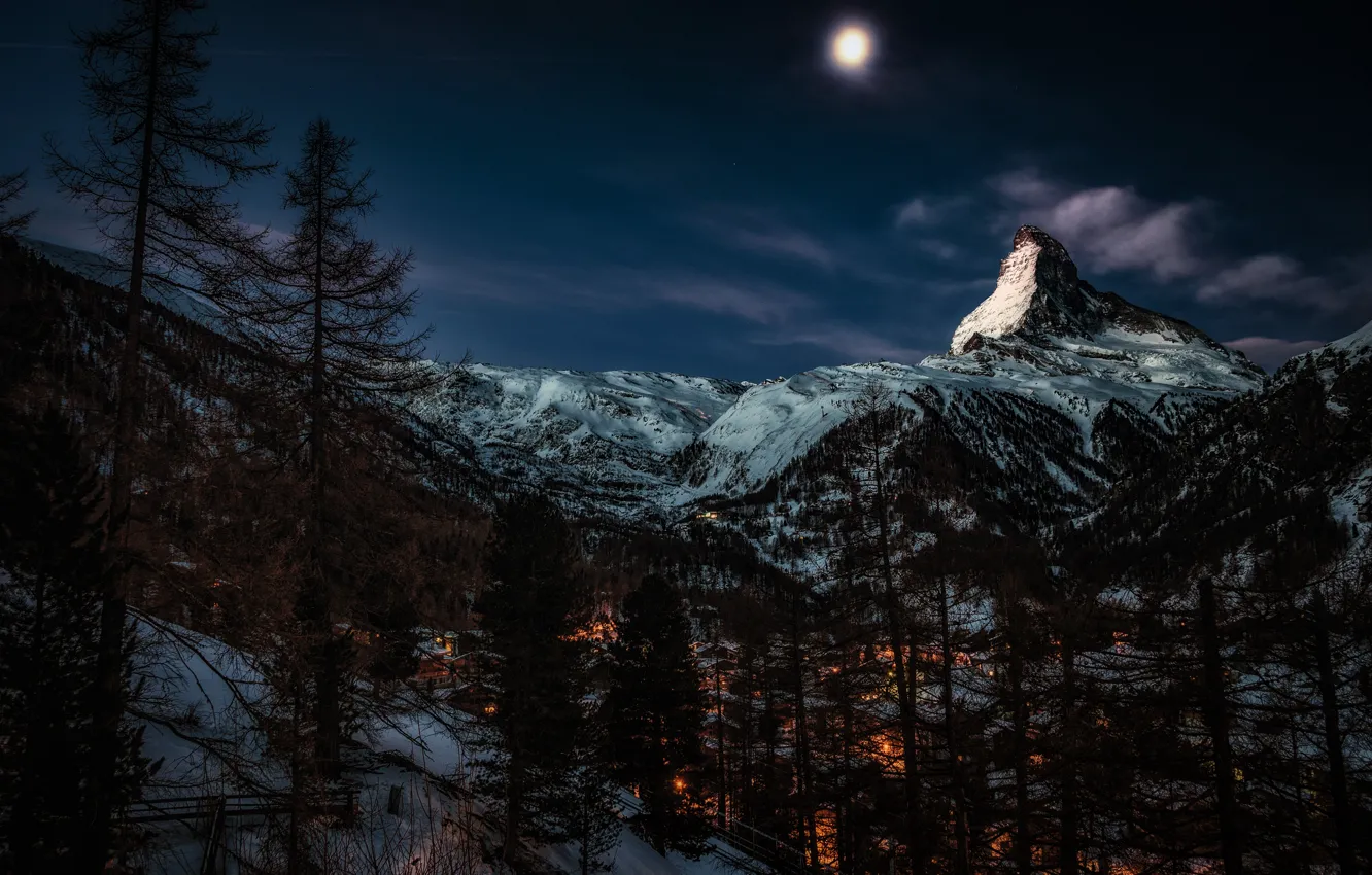 Photo wallpaper winter, forest, trees, mountains, night, the moon