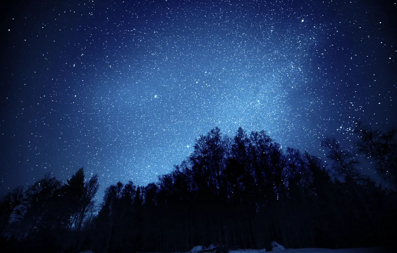 Photo wallpaper forest, the sky, stars, trees, night