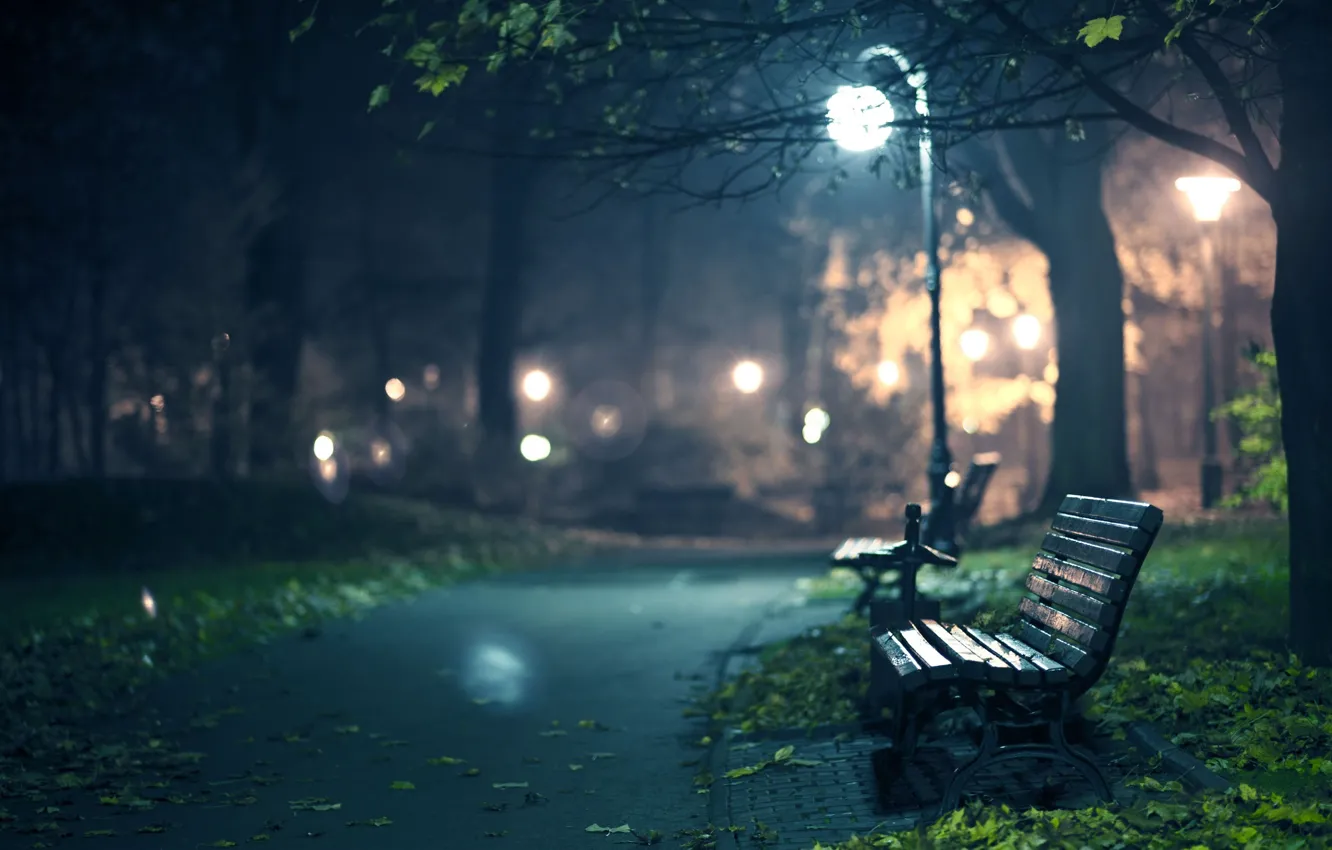 Photo wallpaper autumn, leaves, light, trees, bench, night, lights, the darkness
