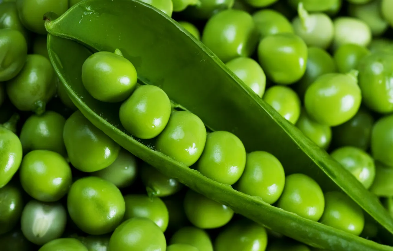 Photo wallpaper table, pod, peas, green peas