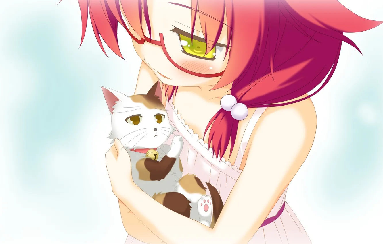 Photo wallpaper cat, the game, anime, girl, neko, Irotoridori from Sekai