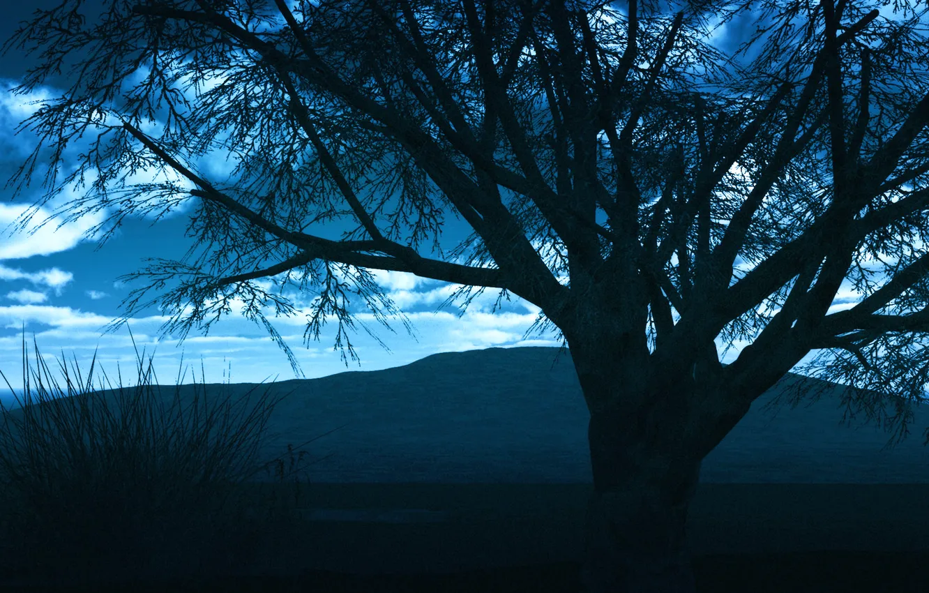 Photo wallpaper the sky, clouds, trees, sunset, mountains, the evening, silhouette