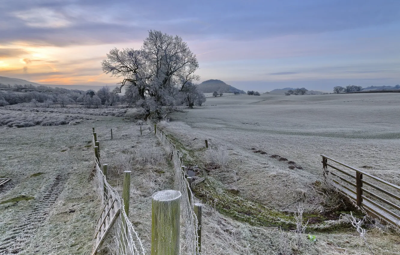 Photo wallpaper frost, field, the fence