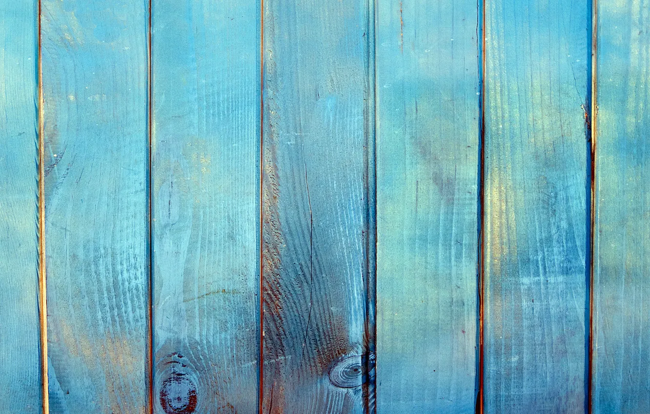 Photo wallpaper trees, Board, color, structure