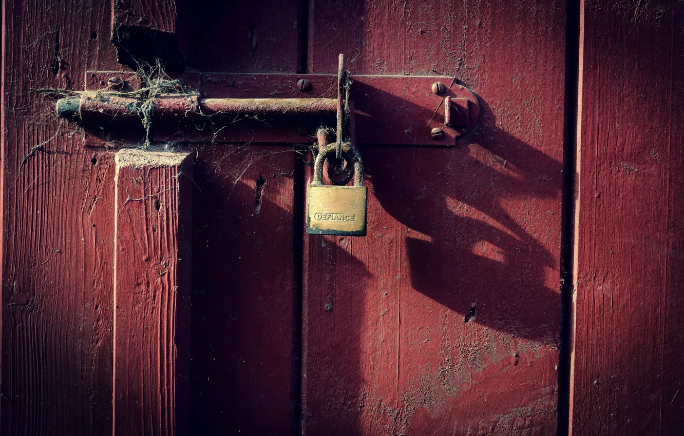 Photo wallpaper background, castle, the door