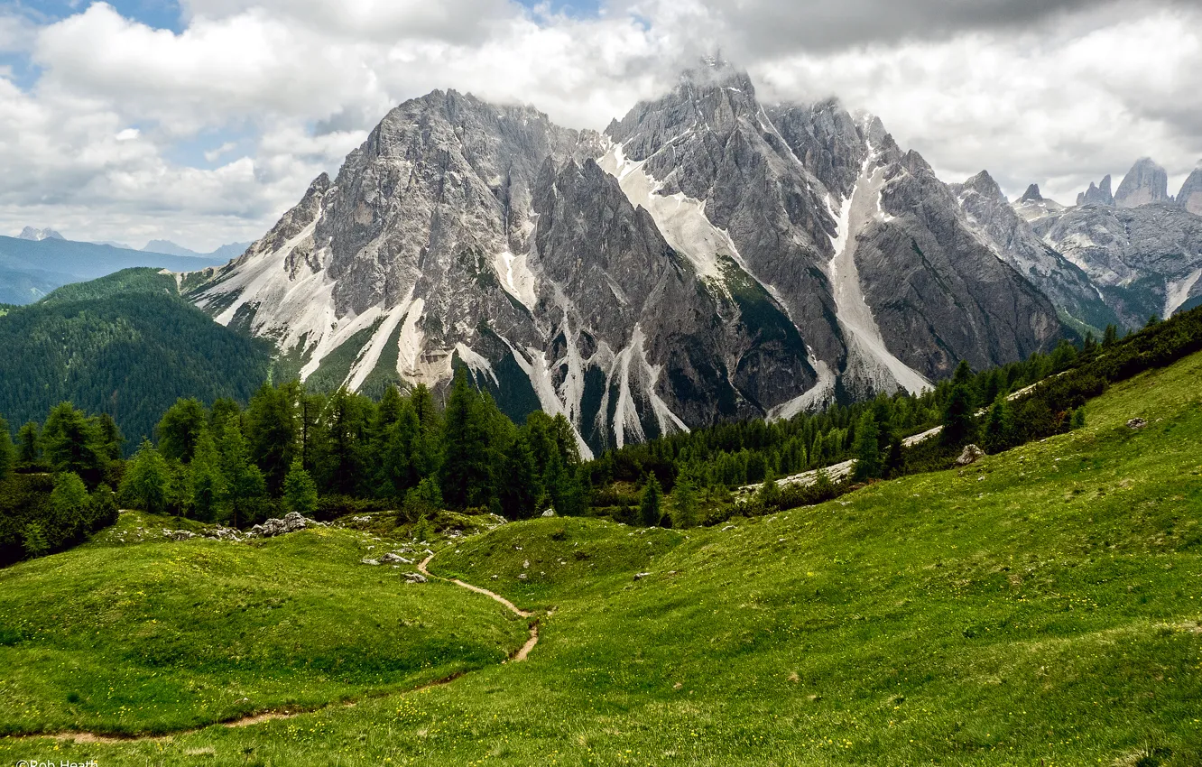 Photo wallpaper forest, clouds, mountains, meadow, Italy, Sesto