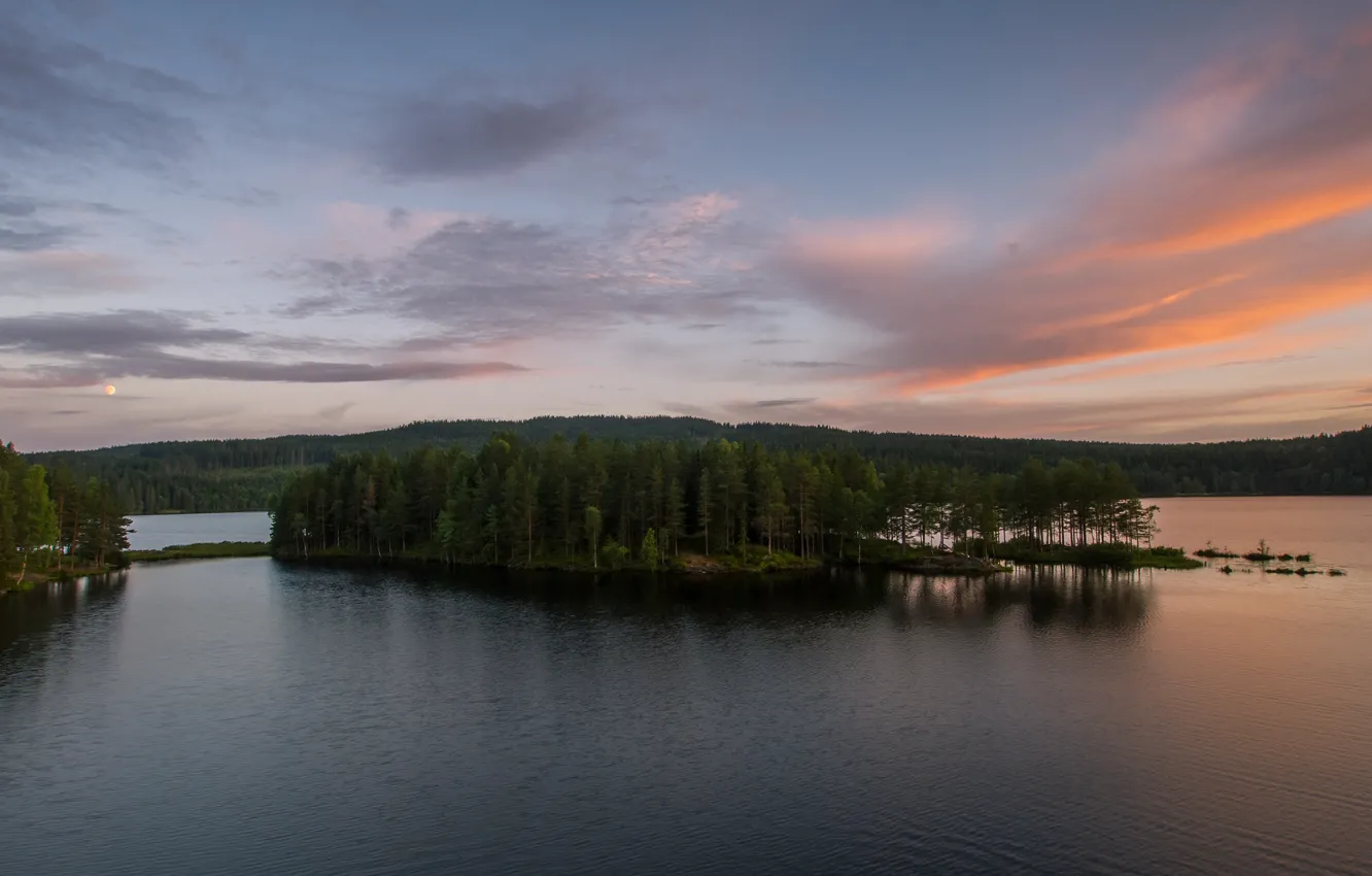 Photo wallpaper forest, lake, dawn, island, morning