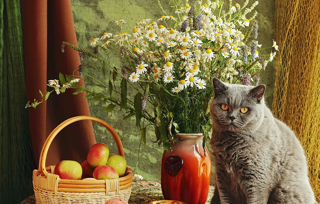 Photo wallpaper cat, cat, flowers, apples, bouquet, still life, items, composition