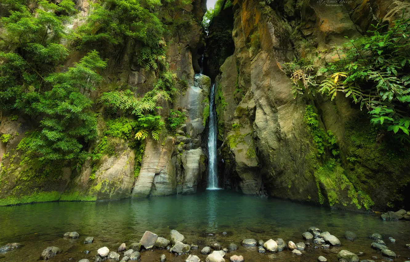 Photo wallpaper summer, river, waterfall