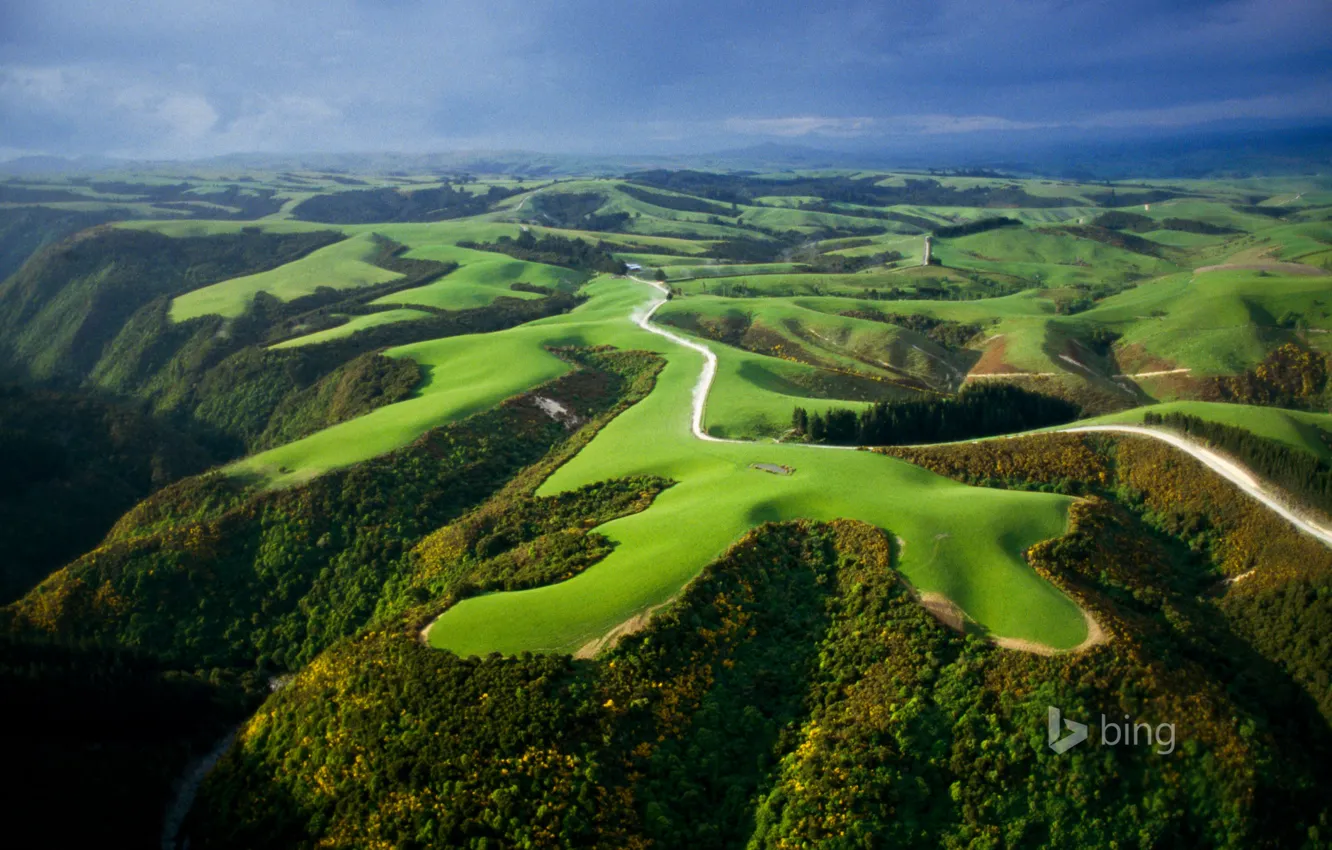 Photo wallpaper field, the sky, mountains, hills, New Zealand, North island