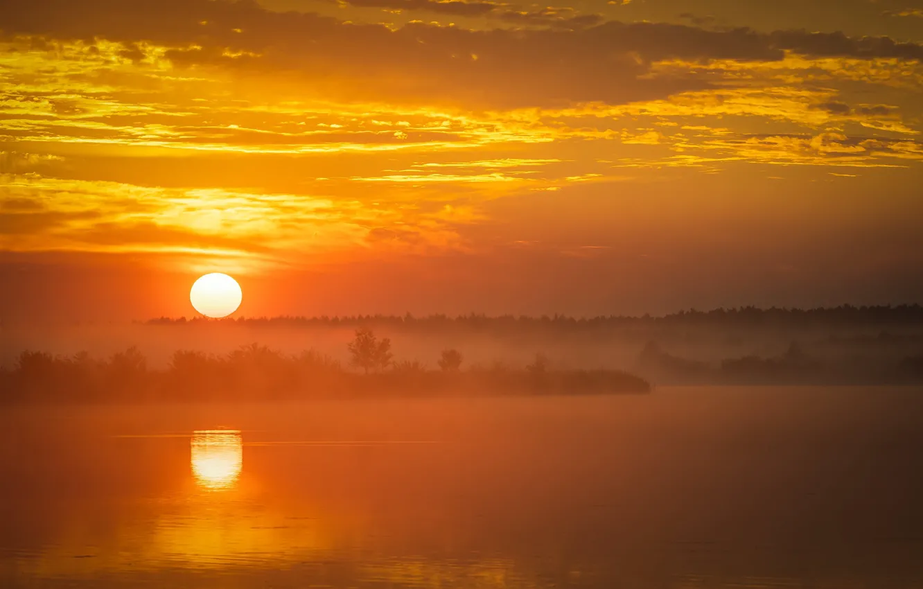 Photo wallpaper the sky, the sun, light, trees, sunset, fog, reflection, dawn