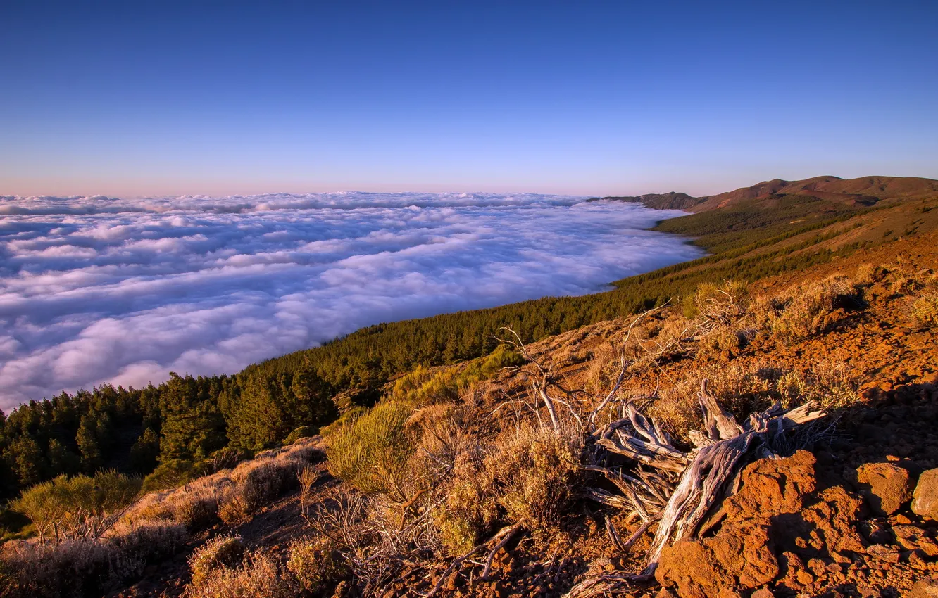 Photo wallpaper the sky, landscape, mountains, obloka