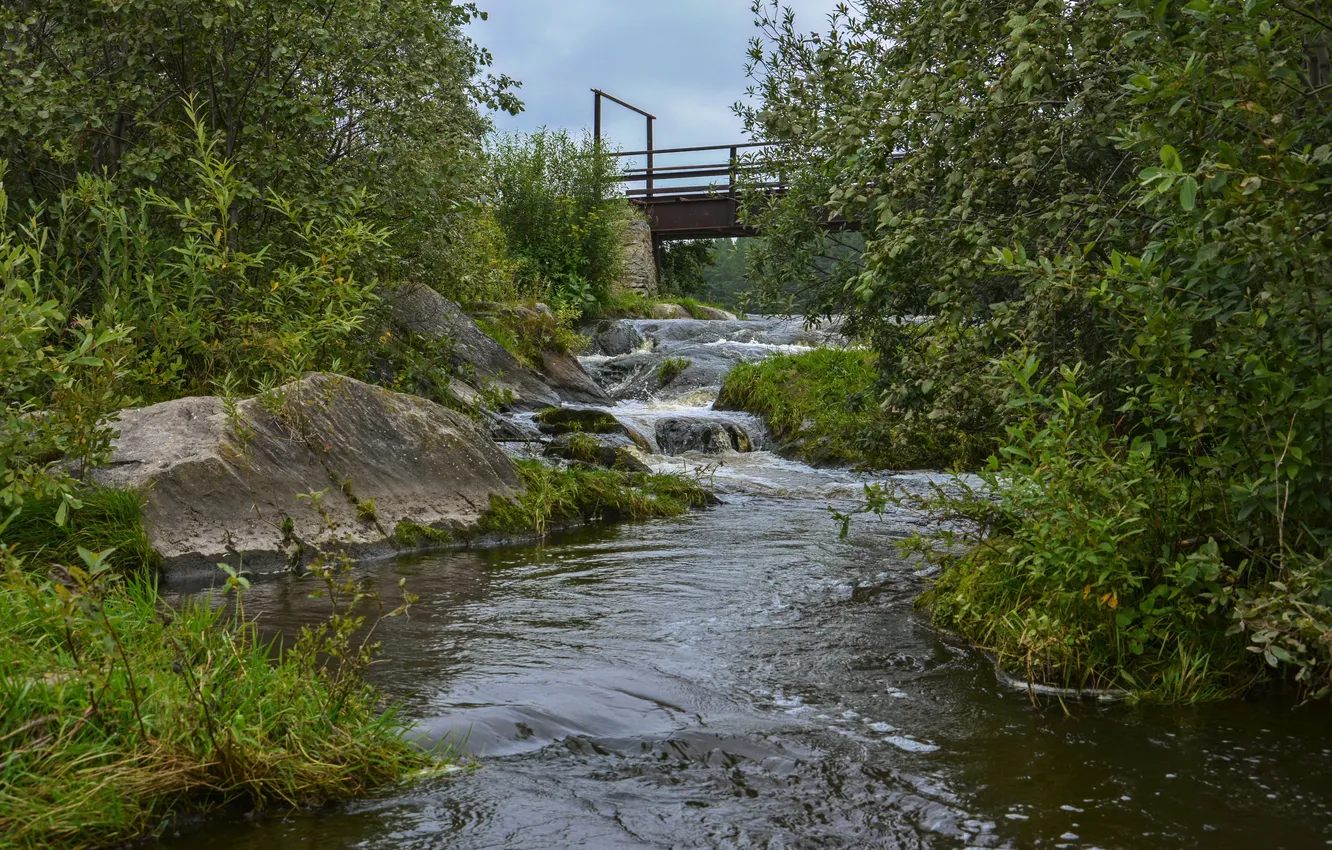 Photo wallpaper grass, water, bridge, nature, river, stream, stones, for