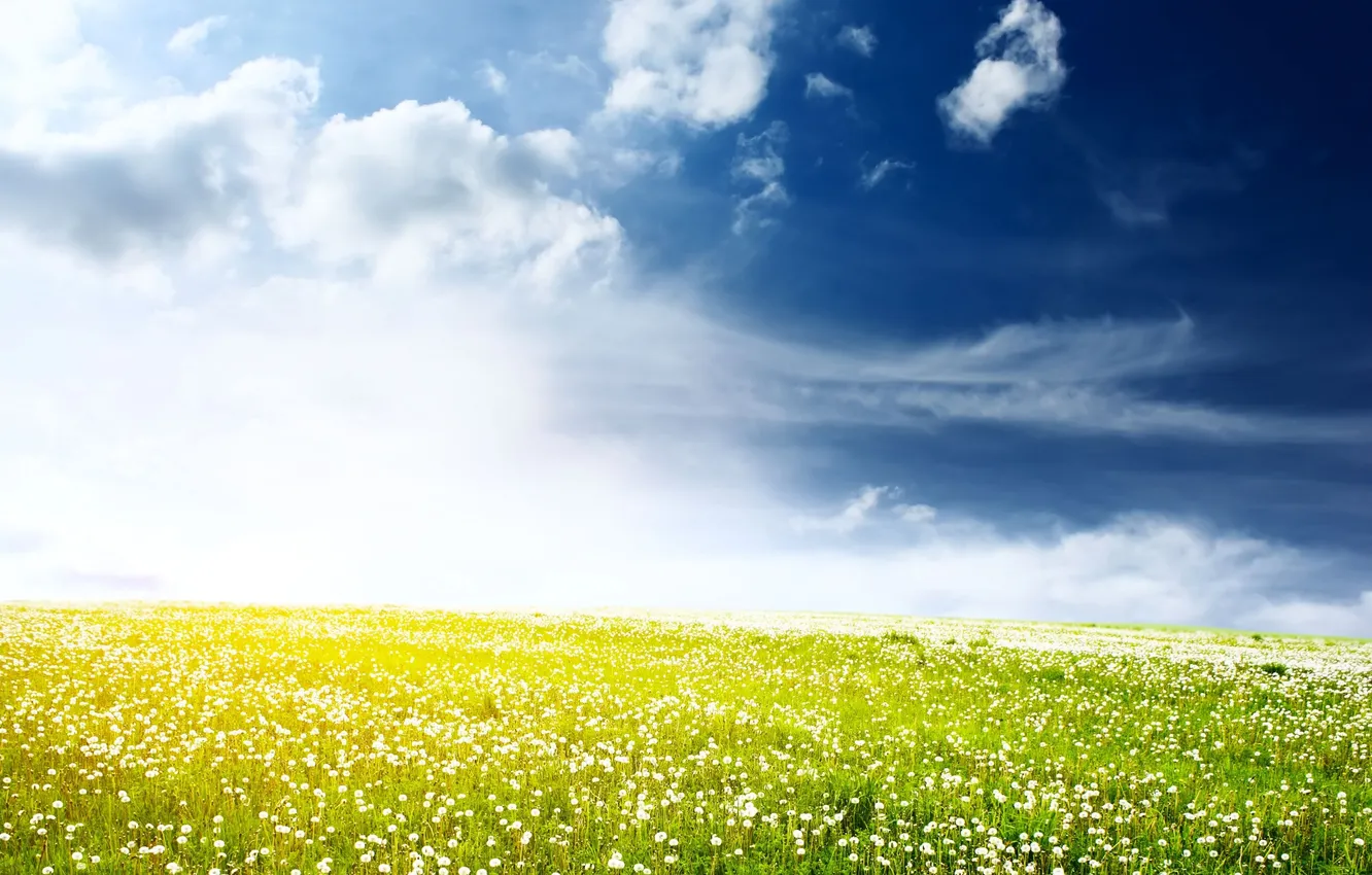 Photo wallpaper field, the sky, clouds, light, space, white, dandelions, blue