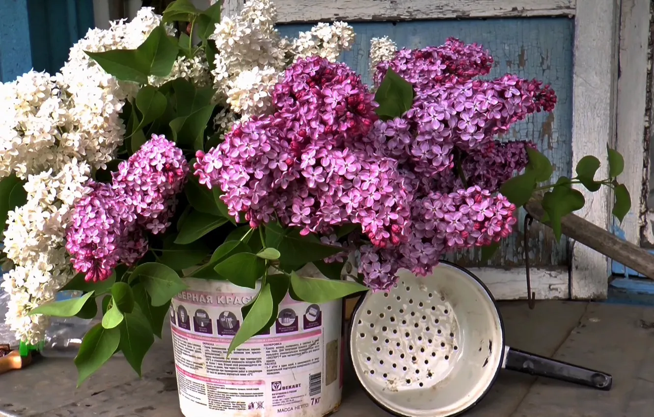 Photo wallpaper bouquet, lilac, summer.