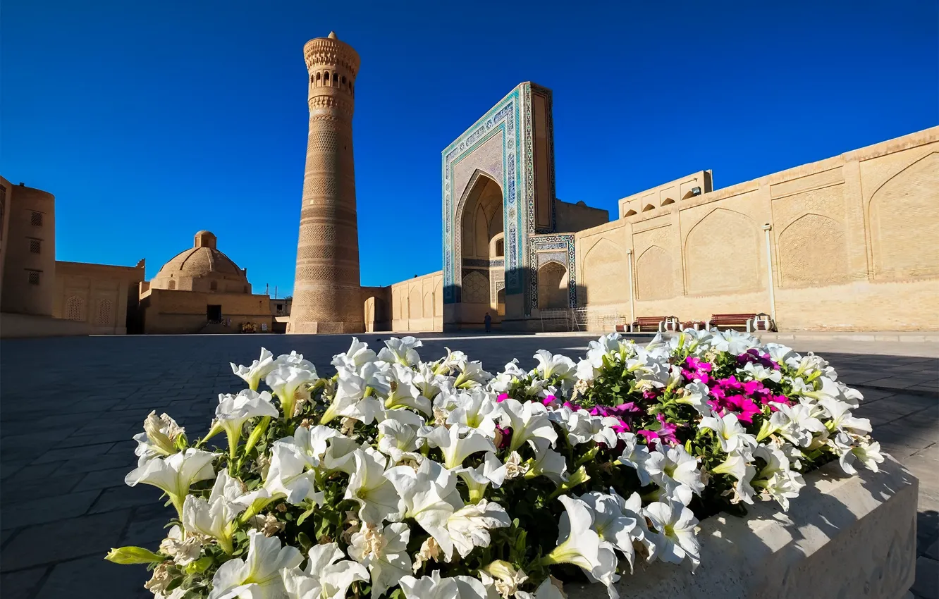 Photo wallpaper flowers, gate, the minaret, Uzbekistan, Bukhara