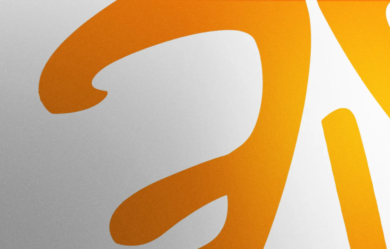 Photo wallpaper logo, game, Team, csgo, Minimalism, fnatic, Counter-Strike: Global Offensive, CS:GO