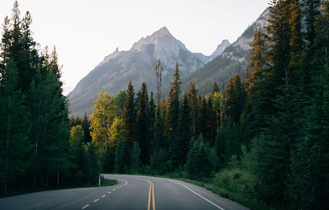 Photo wallpaper road, forest, trees, mountains, rocks, highway