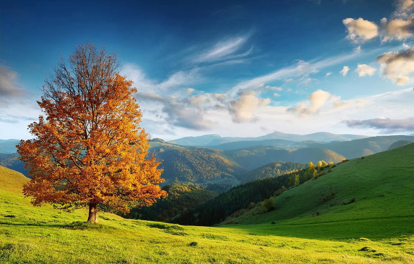 Photo wallpaper autumn, trees, landscape, nature, valley