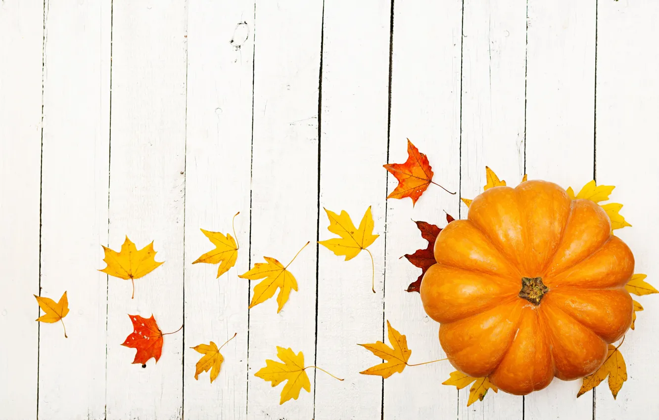 Photo wallpaper autumn, leaves, pumpkin, the gifts of autumn