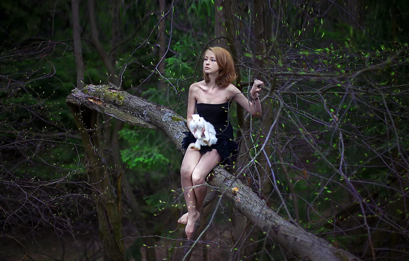 Photo wallpaper girl, trees, rabbit