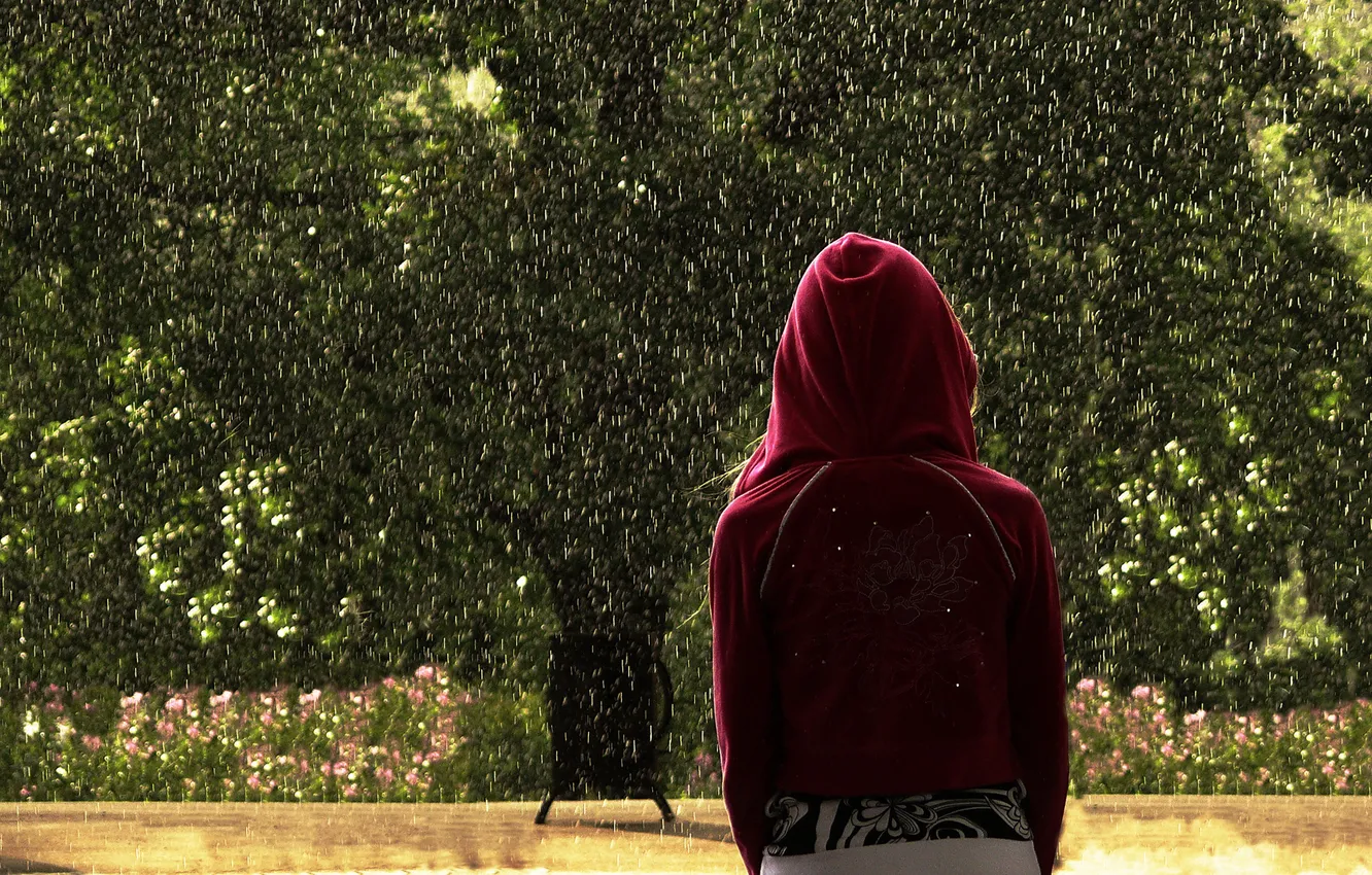 Photo wallpaper girl, girl, rain, tree