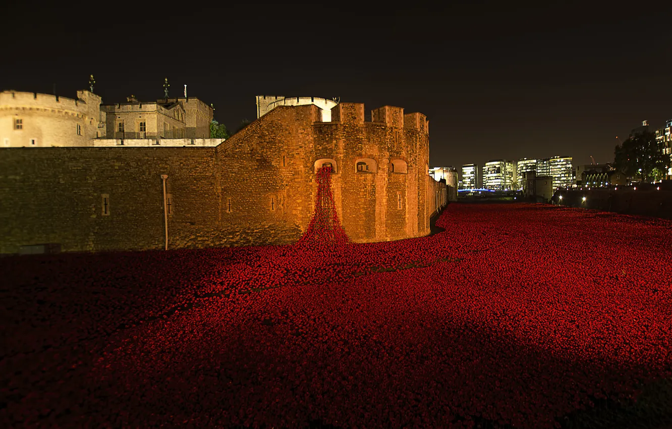 Photo wallpaper flowers, London, the evening, lighting, Tower