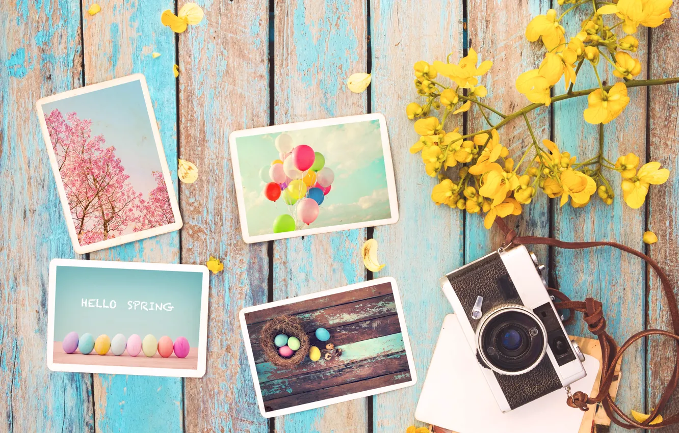 Photo wallpaper flowers, photo, eggs, spring, camera, colorful, Easter, vintage