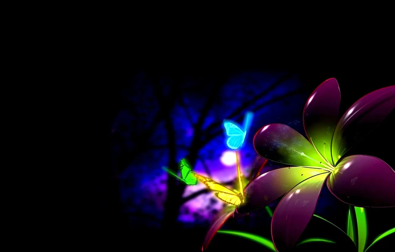 Photo wallpaper flowers, night, the moon, butterfly, colorful, black.BACKGROUND
