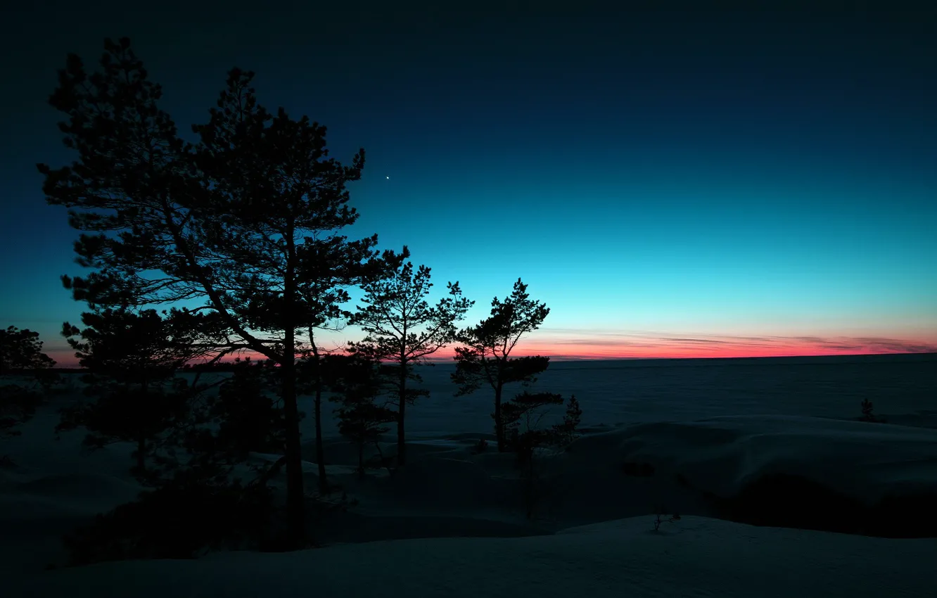 Photo wallpaper winter, snow, sunset, Trees
