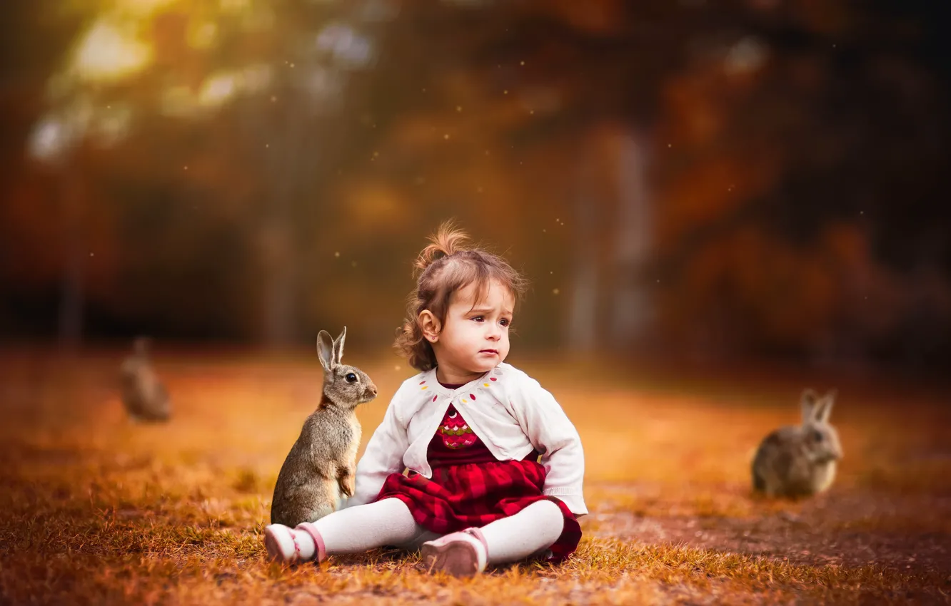 Photo wallpaper background, girl, rabbits