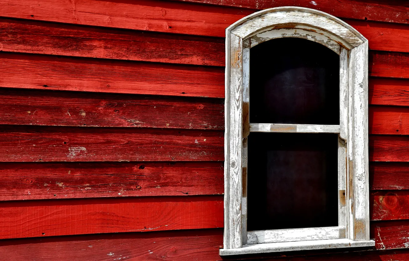 Photo wallpaper wall, home, window