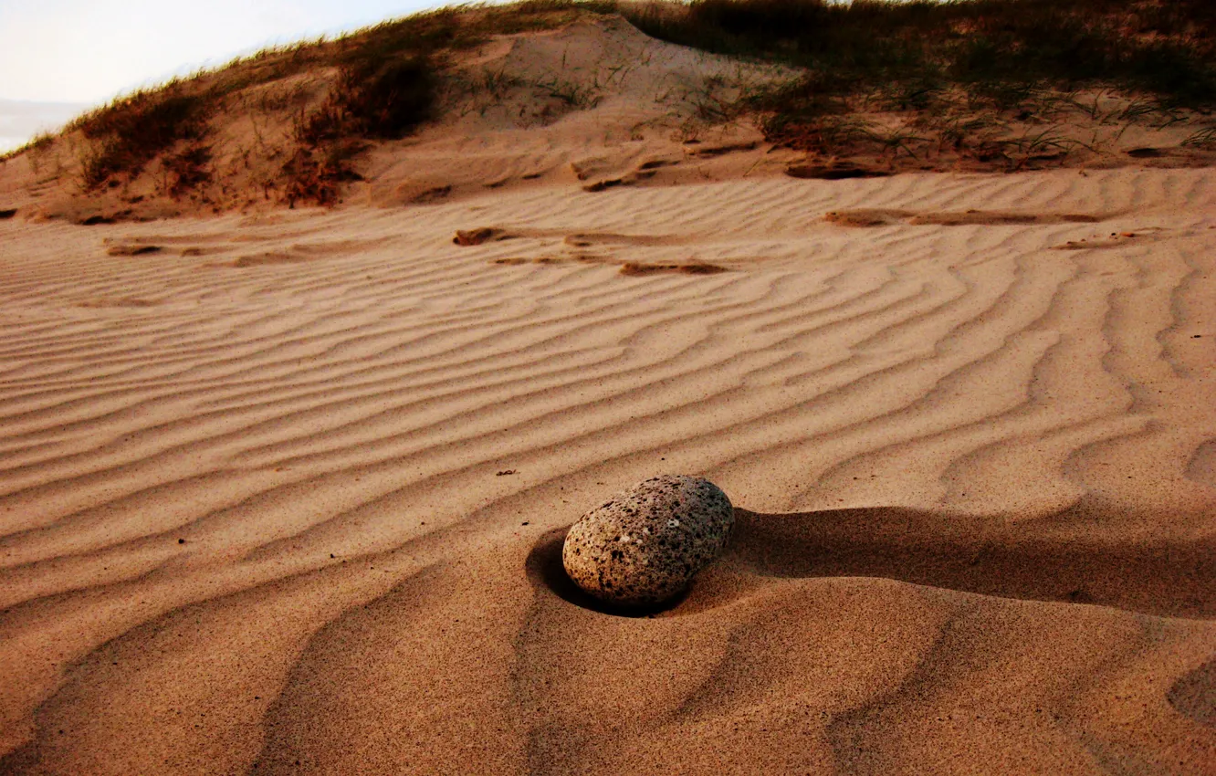 Photo wallpaper sand, the sky, grass, stone, dunes