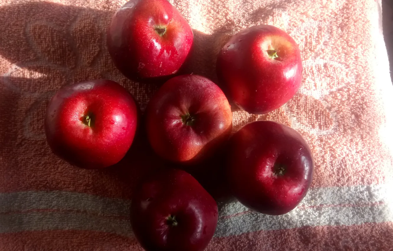 Photo wallpaper Red, Apples, Sunlight