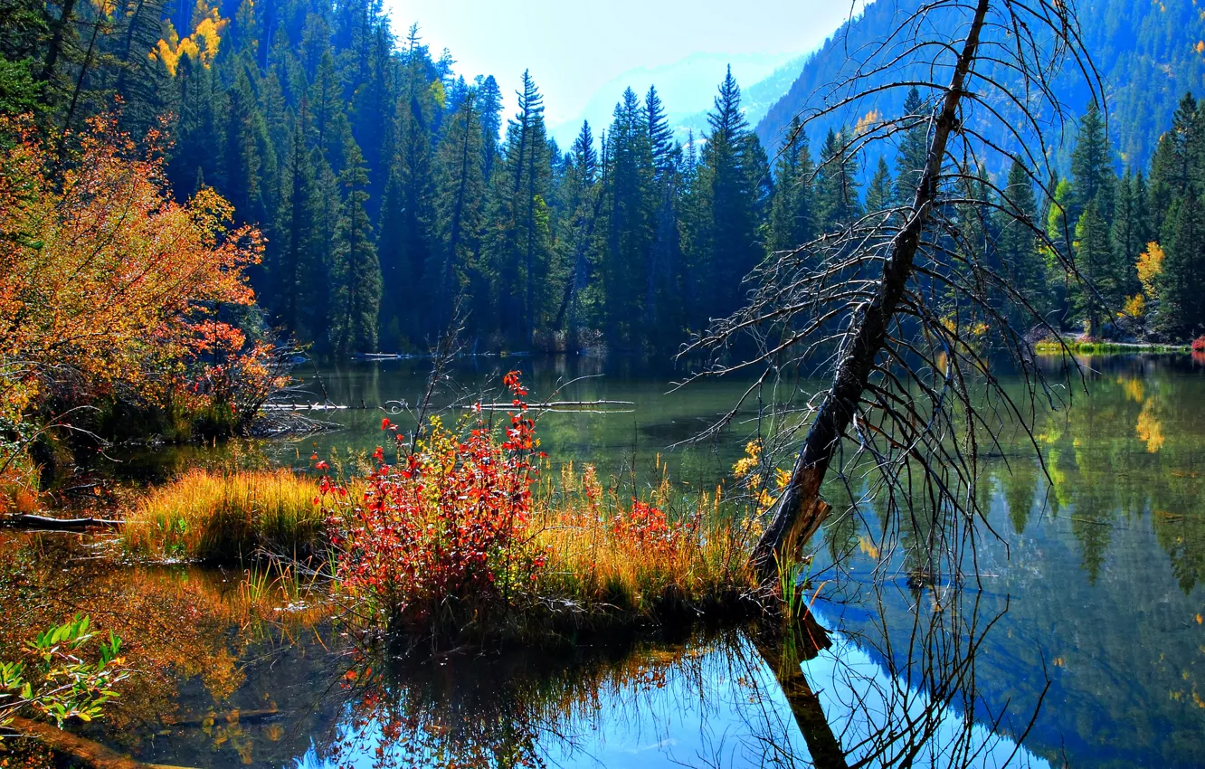 Photo wallpaper the sky, landscape, nature, lake, beauty, trees. leaves. autumn, water. reflection