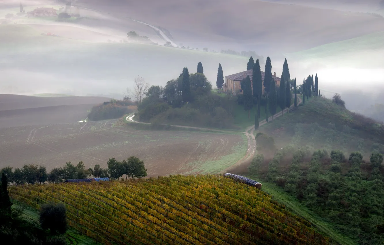 Photo wallpaper field, landscape, fog, morning, Tuscany