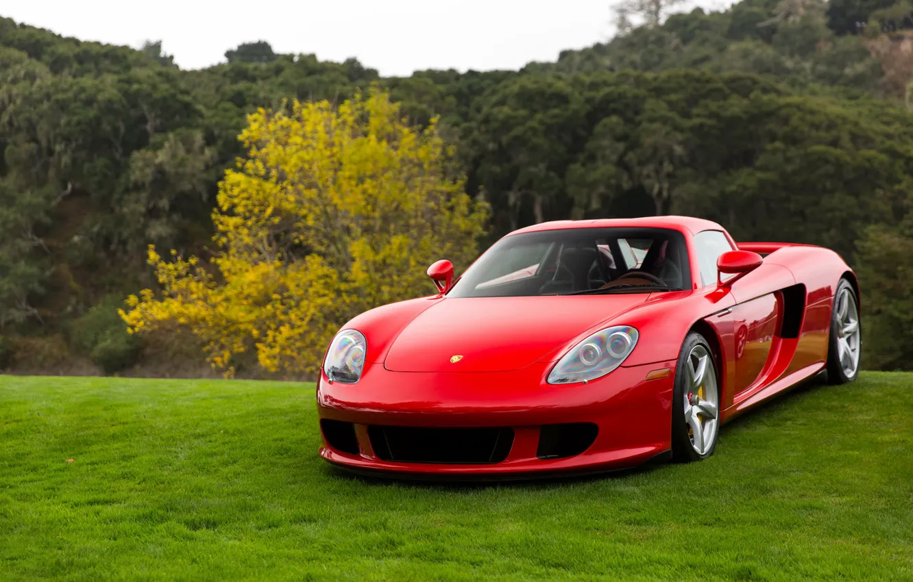 Photo wallpaper Porsche, Red, Carrera