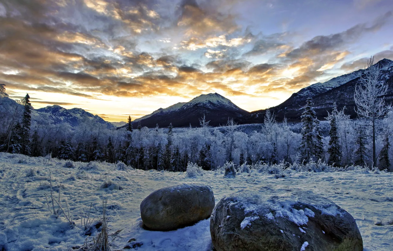 Photo wallpaper winter, landscape, mountains, nature