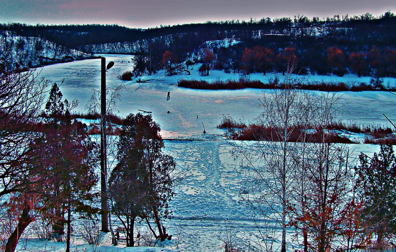 Photo wallpaper winter, snow, landscape, trees.cold