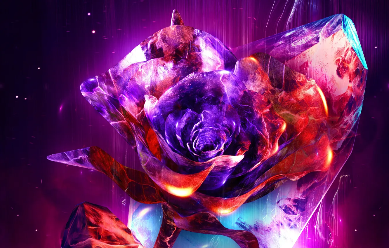 Photo wallpaper abstract, artist, rendering, digital art, Behance, a work of art, florals, a rose