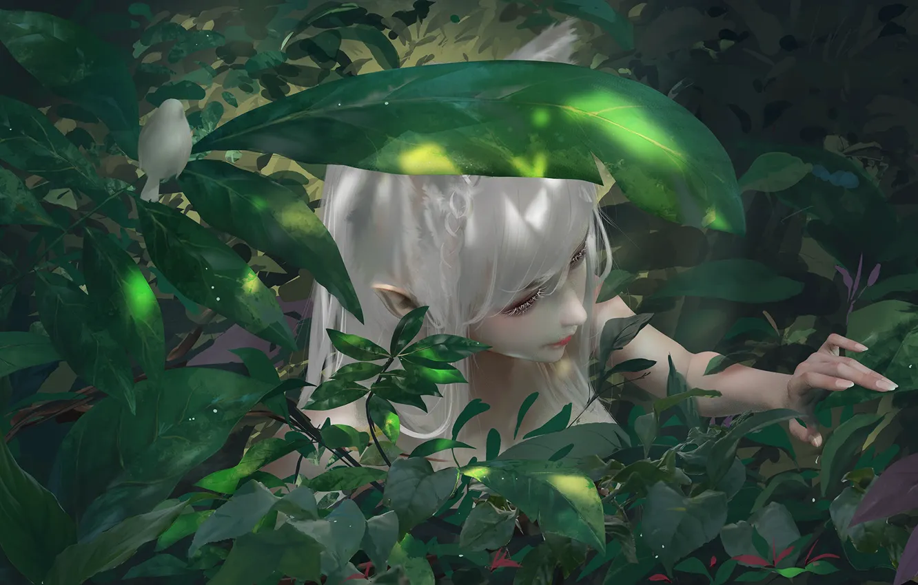 Photo wallpaper greens, fantasy, elf, bird