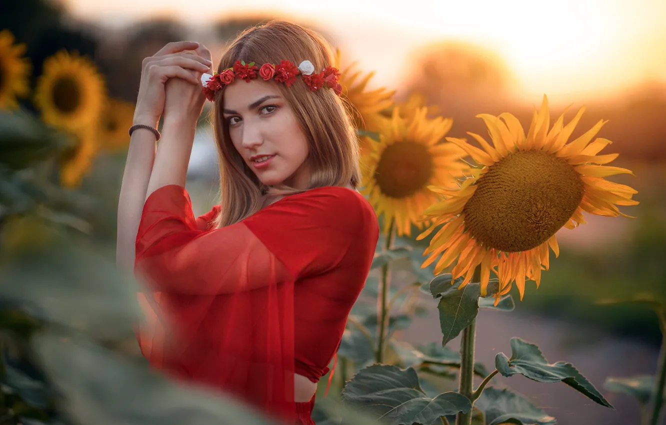 Photo wallpaper girl, sunflowers, Natalia