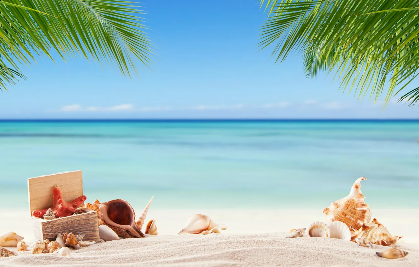 Photo wallpaper sand, sea, wave, beach, summer, the sky, palm trees, shore