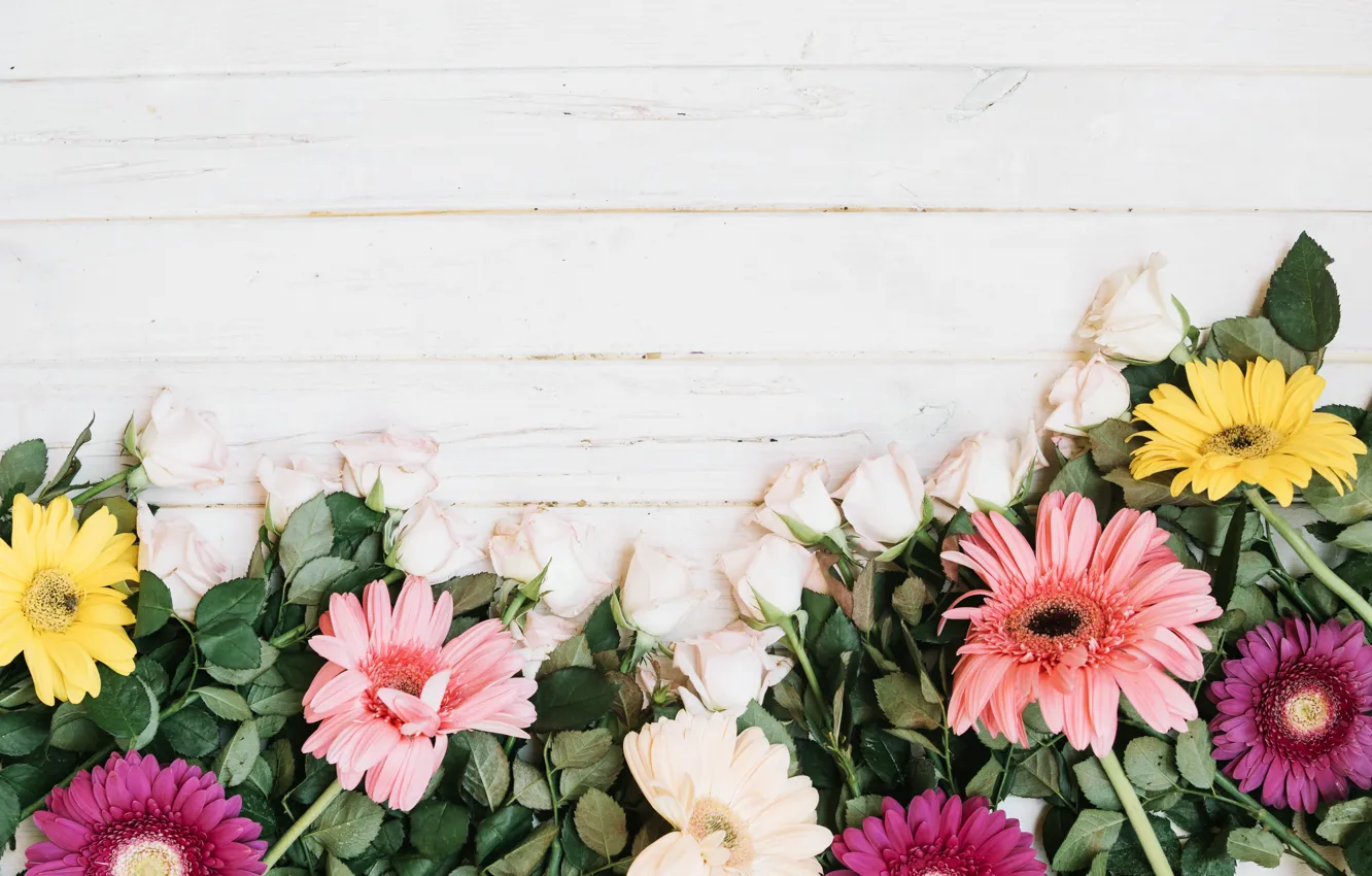 Photo wallpaper flowers, roses, petals, gerbera