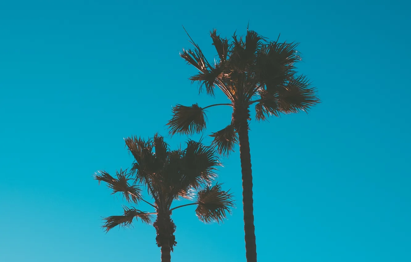 Photo wallpaper 1920 x 1200, 1920 x 1080, 1440p