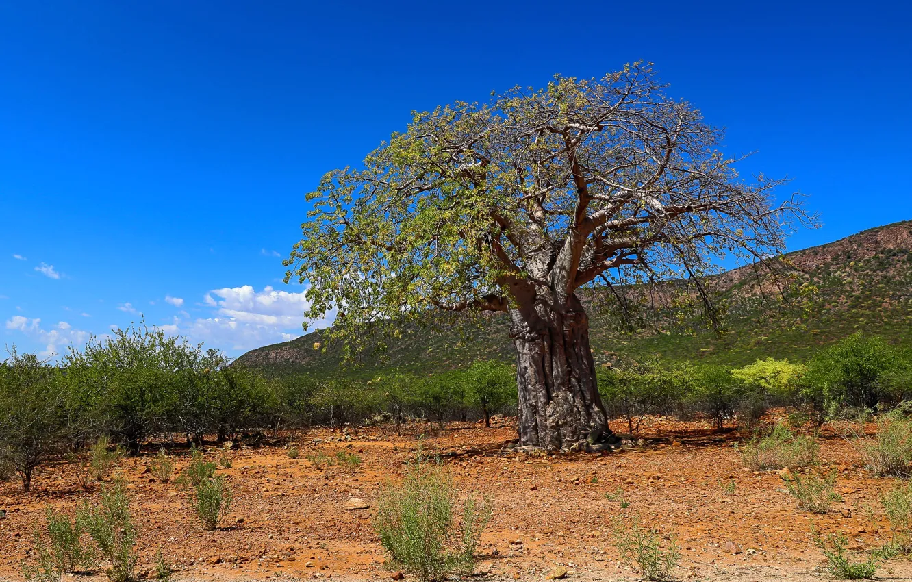 Photo wallpaper landscape, Africa, Namibia