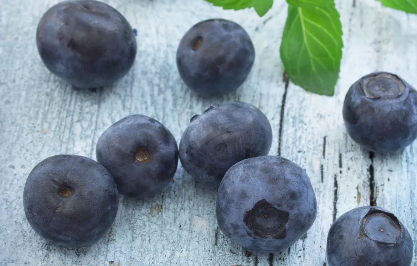Photo wallpaper berries, blueberries, mint