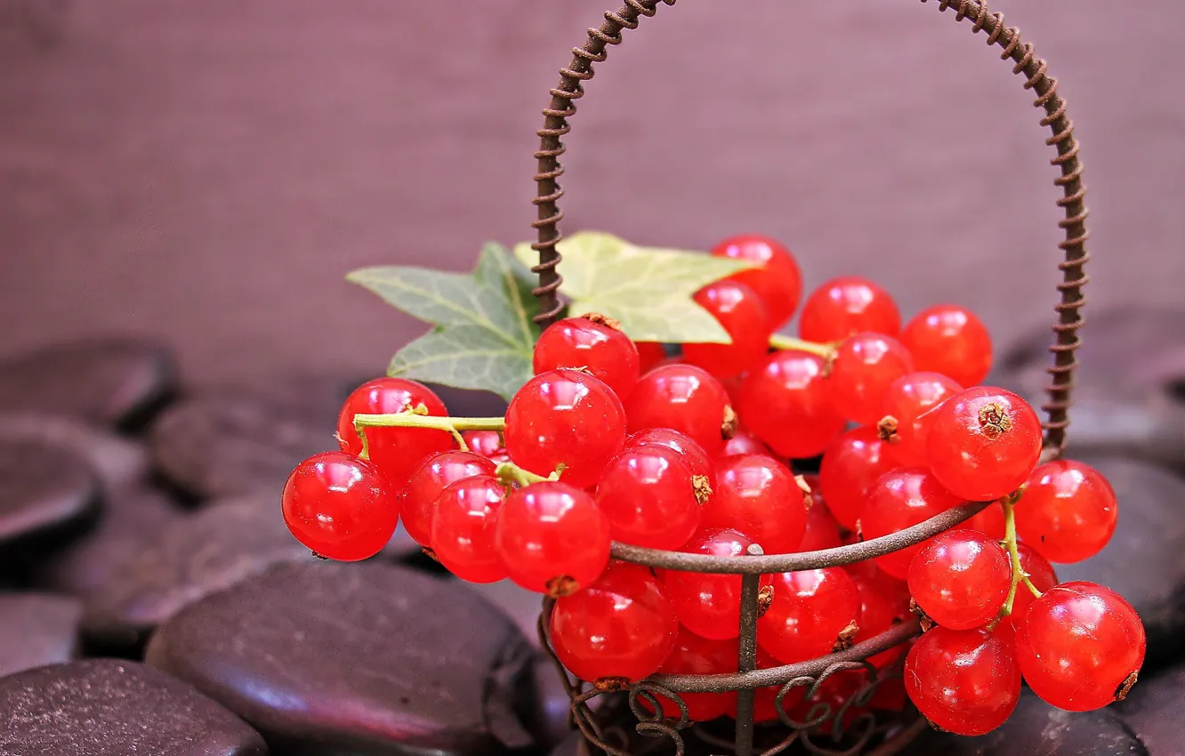 Photo wallpaper basket, berries, red currant